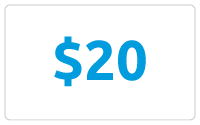 $20.00