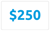 $250.00